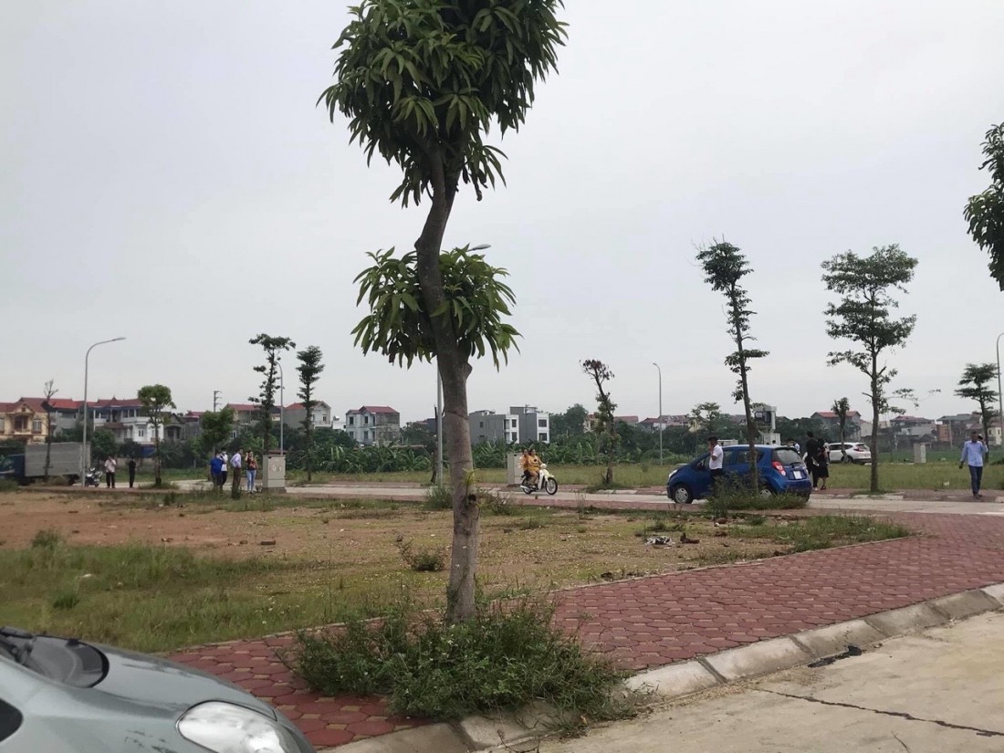 Hà Nội: Đấu giá 50 thửa đất có tổng diện tích hơn 4.900m2 gần sân bay Nội Bài. Ảnh minh họa