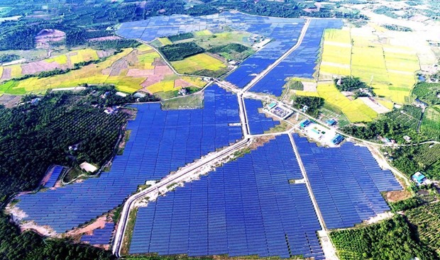 Dự án điện mặt trời Cư Jút bị xác định đã xây dựng trên đất trồng lúa và đất trồng cây lâu năm. Ảnh: TTXVN 