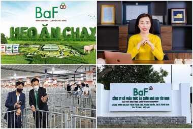 BaF Việt Nam là công ty gì? Sản phẩm của BaF Việt Nam có uy tín không? BaF Việt Nam xả thải ra môi trường