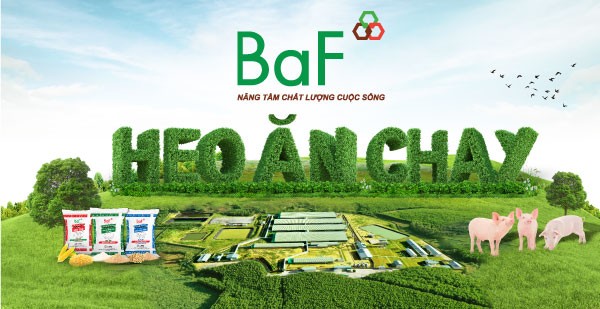 BaF Việt Nam là công ty gì? Sản phẩm của BaF Việt Nam có uy tín không? BaF Việt Nam xả thải ra môi trường