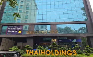 thaiholdings la doanh nghiep gi thaiholdings co lien quan the nao voi ong nguyen duc thuy bau thuy