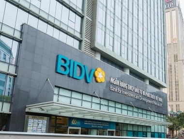 Đấu giá toàn bộ khoản vay của Tập đoàn Đầu tư Đô Thành tại BIDV - Chi nhánh Bến Nghé