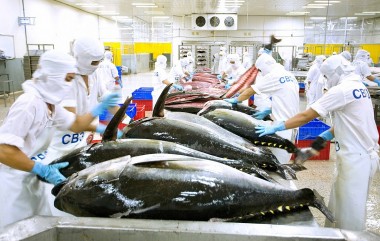 Xuất khẩu cá ngừ sang Italy tăng 12 lần trong tháng 6/2023