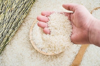Giá lúa gạo hôm nay 19/8/2023: Giá lúa, gạo tăng tới 500 đồng/kg