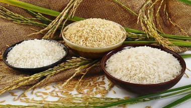 Giá lúa gạo hôm nay 20/8/2023: Giá gạo xuất khẩu tăng 10 USD/tấn, giá lúa Đài thơm tăng mạnh
