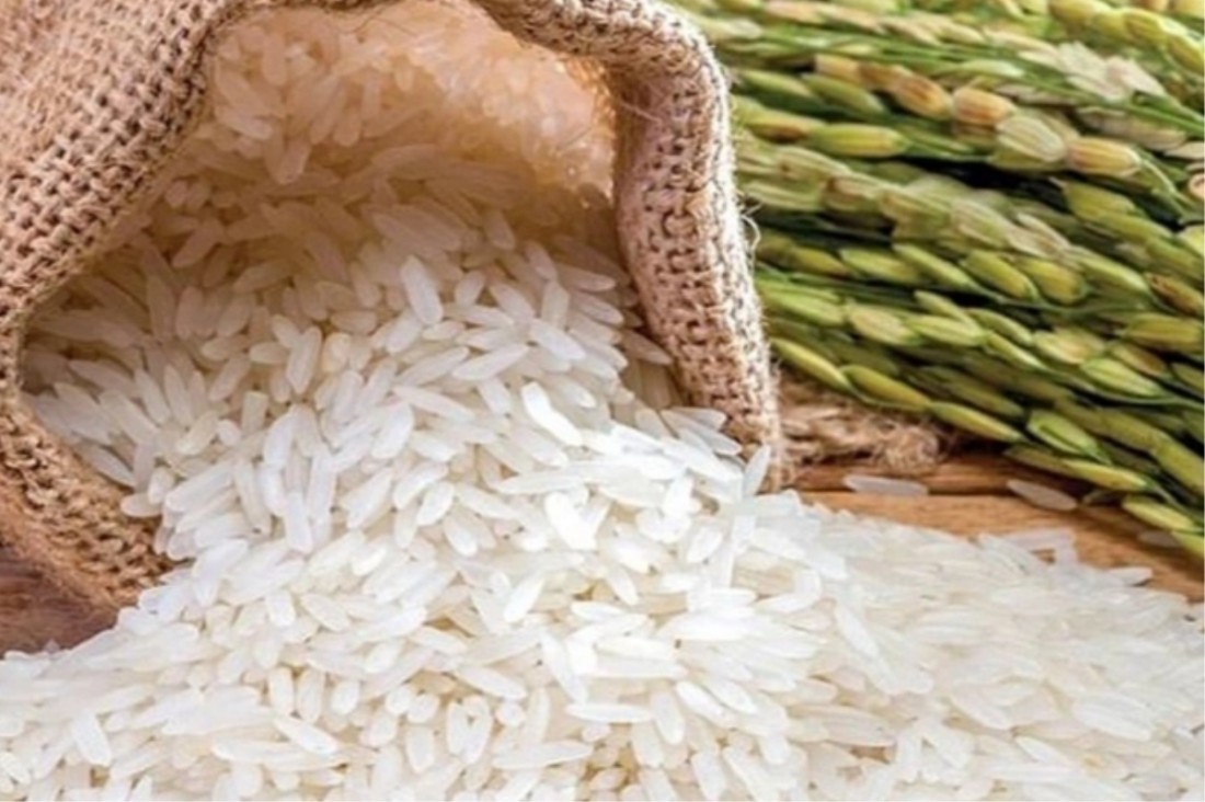Giá lúa gạo hôm nay 22/8/2023: Thị trường sôi động sau biến động giá