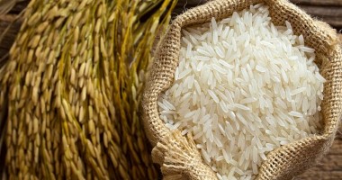 Giá lúa gạo hôm nay 25/8/2023: Giá lúa tăng lên, giá gạo giảm