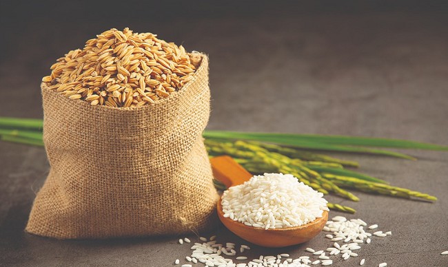 Giá lúa gạo hôm nay 28/8/2023: Đầu tuần giá gạo giảm nhẹ