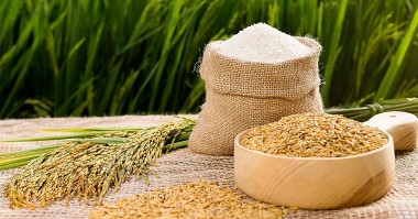 Giá lúa gạo hôm nay 30/8/2023: Cuối tháng giá đồng loạt tăng