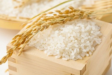 Giá lúa gạo hôm nay 1/9/2023: Đầu tháng giá lúa, giá gạo tăng