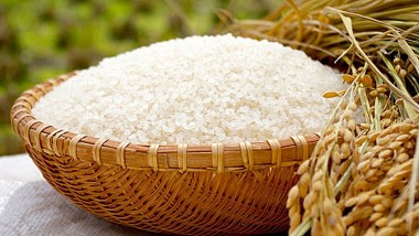 Giá lúa gạo hôm nay 4/9: Giá nhiều loại lúa tăng, giá gạo neo cao