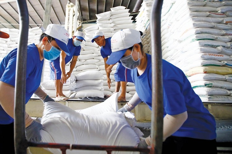 Giá gạo xuất khẩu Việt Nam giảm mạnh, chính thức mất mốc 600 USD/tấn