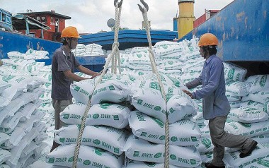 Giá gạo xuất khẩu Việt Nam giảm mạnh, chính thức mất mốc 600 USD/tấn