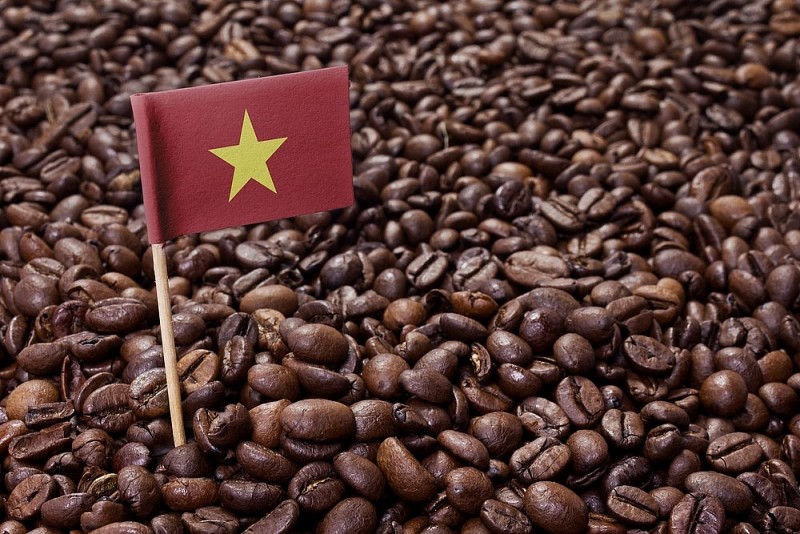 Giá cà phê tăng vọt lên trên 68.000 đồng/kg