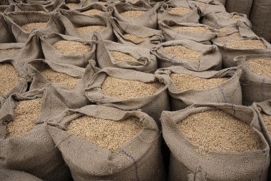 Giá gạo xuất khẩu loại 5% tấm của Việt Nam trở lại mức 643 USD/tấn
