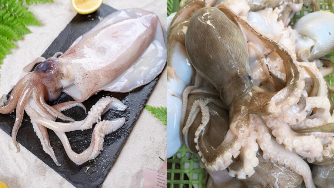 Việt Nam đang xuất khẩu mực, bạch tuộc sang thị trường nào?