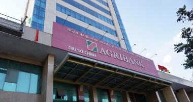 Agribank đấu giá gần 2,5 triệu cổ phần của một công ty đang làm thủ tục giải thể