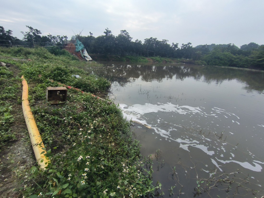Công ty Phú Lâm còn có hành vi xả nước thải không đúng nơi quy định.