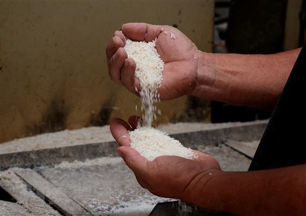 Việt Nam trúng thầu hơn 300.000 tấn gạo trắng loại 5% tấm của Indonesia