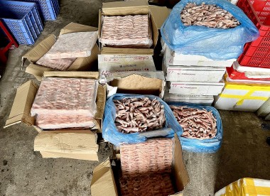 Thái Nguyên: Ngăn chặn hơn 500kg chân gà nhập lậu