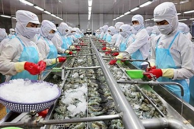 Tháng 1/2024, Trung Quốc – Hồng Kông là thị trường nhập khẩu thủy sản lớn thứ 2 của Việt Nam