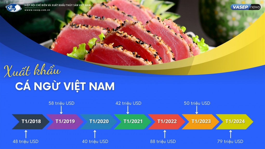 Loại cá ngon nhất đại dương của Việt Nam đạt hơn 79 triệu USD giá trị xuất khẩu trong tháng 1/2024