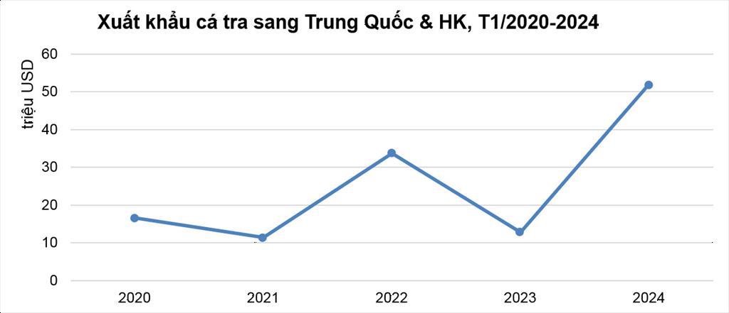 Năm 2024, Trung Quốc sẽ là thị trường rộng lớn của xuất khẩu cá tra Việt Nam