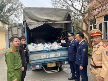 Tuyên Quang: Thu giữ 1,4 tấn mỡ lợn không rõ nguồn gốc đang trên xe tải vận chuyển