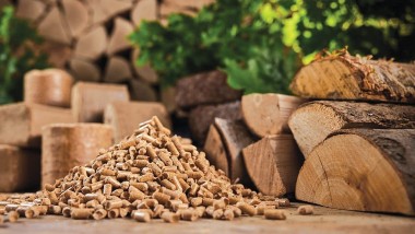Xuất khẩu 'hàng thải' từ gỗ thu về gần 680 triệu USD trong năm 2023