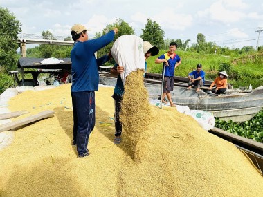 Xuất khẩu 'hạt ngọc trời' Việt Nam thu về 1,4 tỷ USD trong quý I/2024