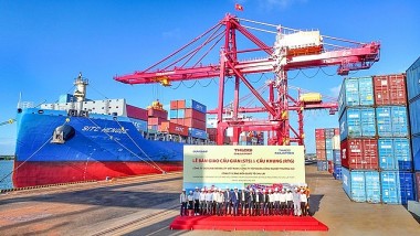 Cảng Chu Lai đưa vào vận hành hệ thống cẩu chuyên dụng trị giá hơn 400 tỷ đồng
