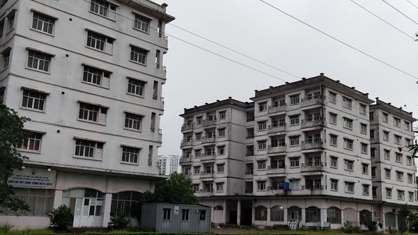 VARS: Koảng 18.000 căn hộ tái định cư bị bỏ hoang, tiêu tốn hàng trăm tỷ đồng bảo trì tại Hà Nội và TP HCM