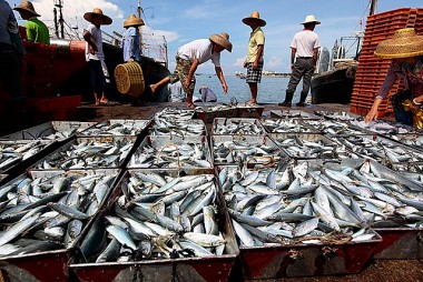 Mỹ mở rộng lệnh cấm đối với thủy sản Trung Quốc
