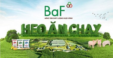 Công ty cổ phần Nông nghiệp BAF bị xử phạt hơn 240 triệu đồng