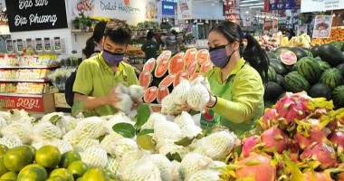 Kim ngạch xuất khẩu rau quả ước đạt hơn 3,8 tỷ USD trong 7 tháng