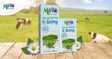 Lợi nhuận Mộc Châu Milk (MCM) đi lùi, giảm 55% trong quý III/2024