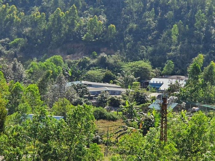 Nhiều công trình “mọc” trên đất lâm nghiệp ở thung lũng Quy Hòa. Ảnh: Pháp luật TP HCM