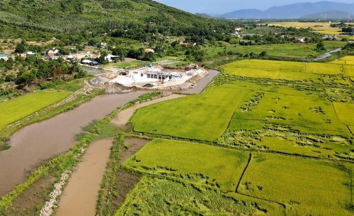 HĐND tỉnh Khánh Hòa được chuyển đổi mục đích đất trồng lúa quy mô dưới 500 ha. Ảnh: PLO.vn