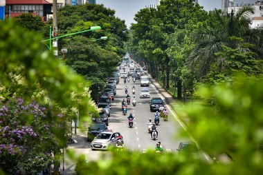 Hà Nội ban hành quy định mới quản lý về cây xanh đô thị