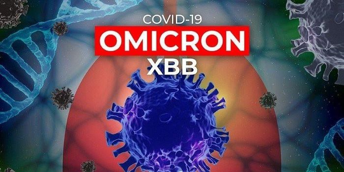 Sở Y tế TP.HCM đã phát hiện biến chủng phụ XBB.1.5 Omicron tại gene virus bệnh nhân mắc COVID-19 ở địa bàn thành phố.