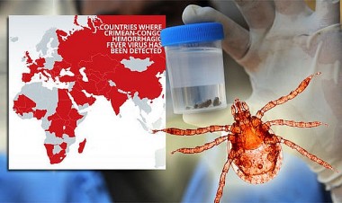 Chủng bệnh sốt xuất huyết Crimean-Congo mới nguy hiểm được phát hiện tại Nga