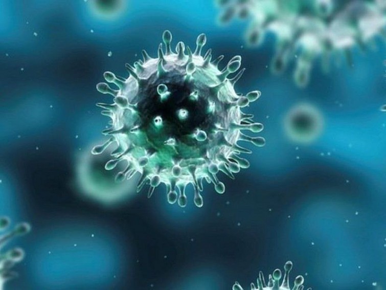 Virus cúm A là virus RNA có tám đoạn gen.