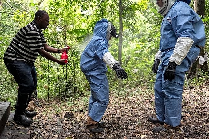 Các nhà khoa học được phun chất khử trong khi làm việc tại Rừng Quốc gia Queen Elizabeth, Uganda. Ảnh: Washington Post