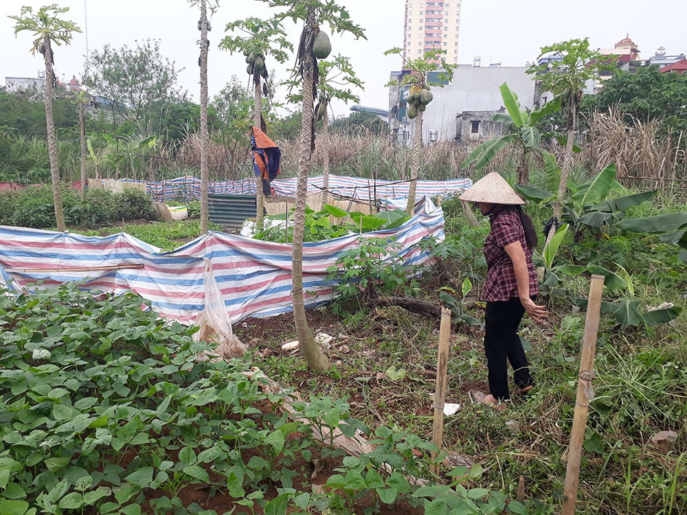 Cận cảnh hàng loạt dự án ôm 'đất vàng' rồi bỏ hoang tại Hà Nội