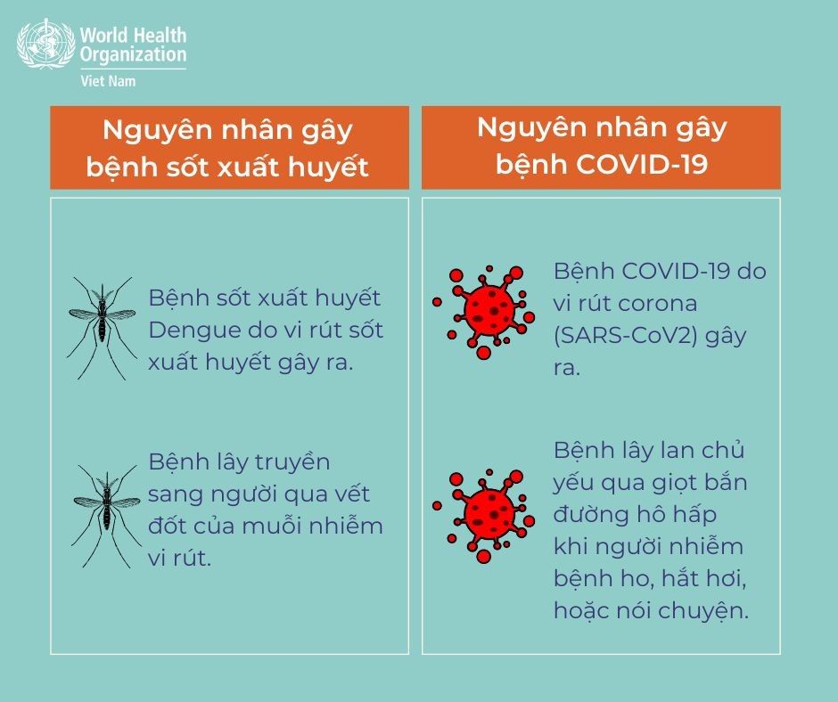 Cách phân biệt giữa sốt xuất huyết và Covid-19