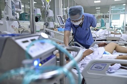 Việt Nam xuất hiện ca mắc cúm gia cầm trên người đầu tiên sau hơn 8 năm
