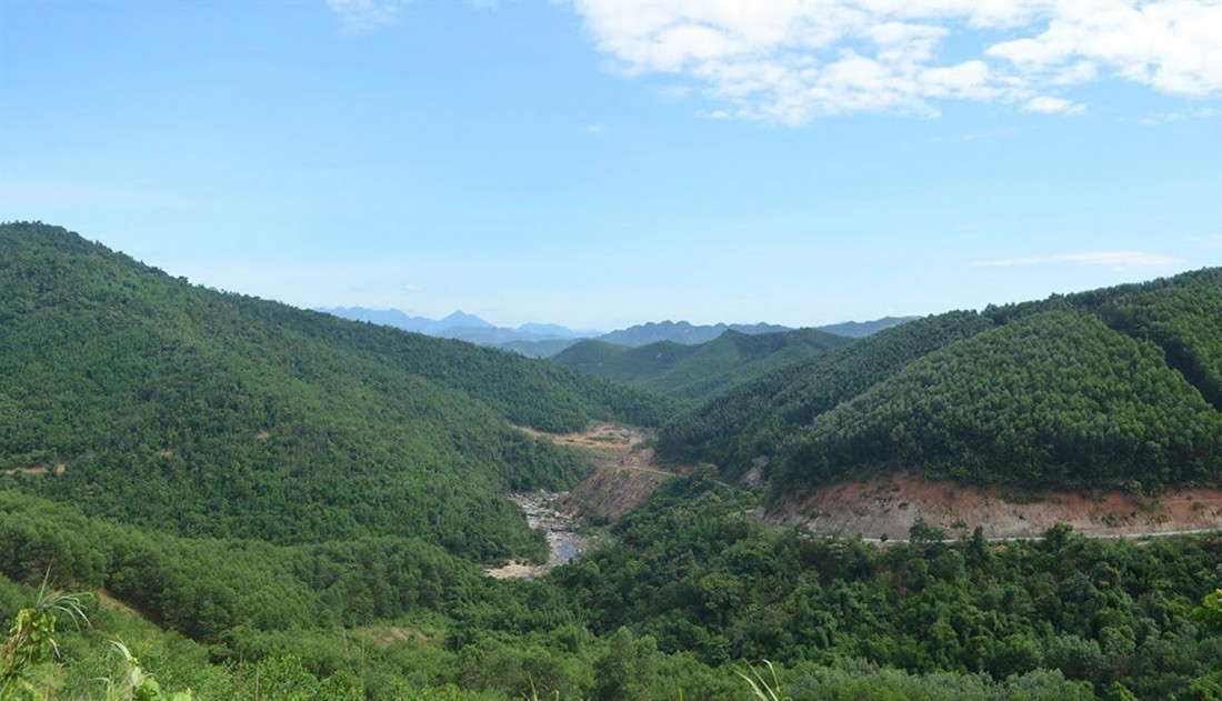 Thủ tướng cho phép Khánh Hòa chuyển mục đích sử dụng rừng dưới 1.000ha. Ảnh minh họa