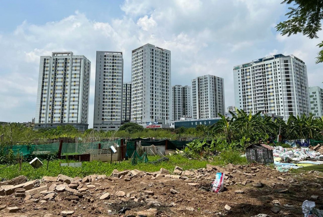 Ô đất quy hoạch xây dựng trường học ở Linh Đàm (quận Hoàng Mai) bị bỏ hoang gần 20 năm. Ảnh: Vietnamnet.vn