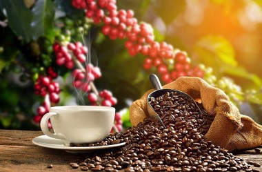 Giá cà phê và hồ tiêu ngày 18/11: Cà phê tăng nhẹ, hồ tiêu có biến động ở Gia Lai