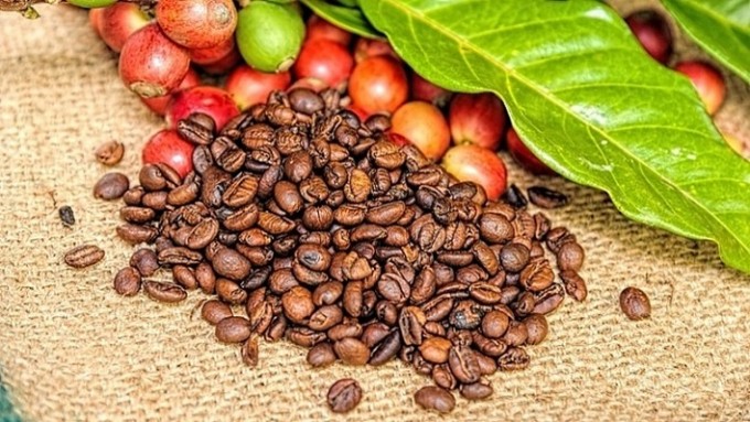 Giá cà phê tại thị trường trong nước và thế giới đều quay đầu giảm ngay sau phiên tăng mạnh hôm qua